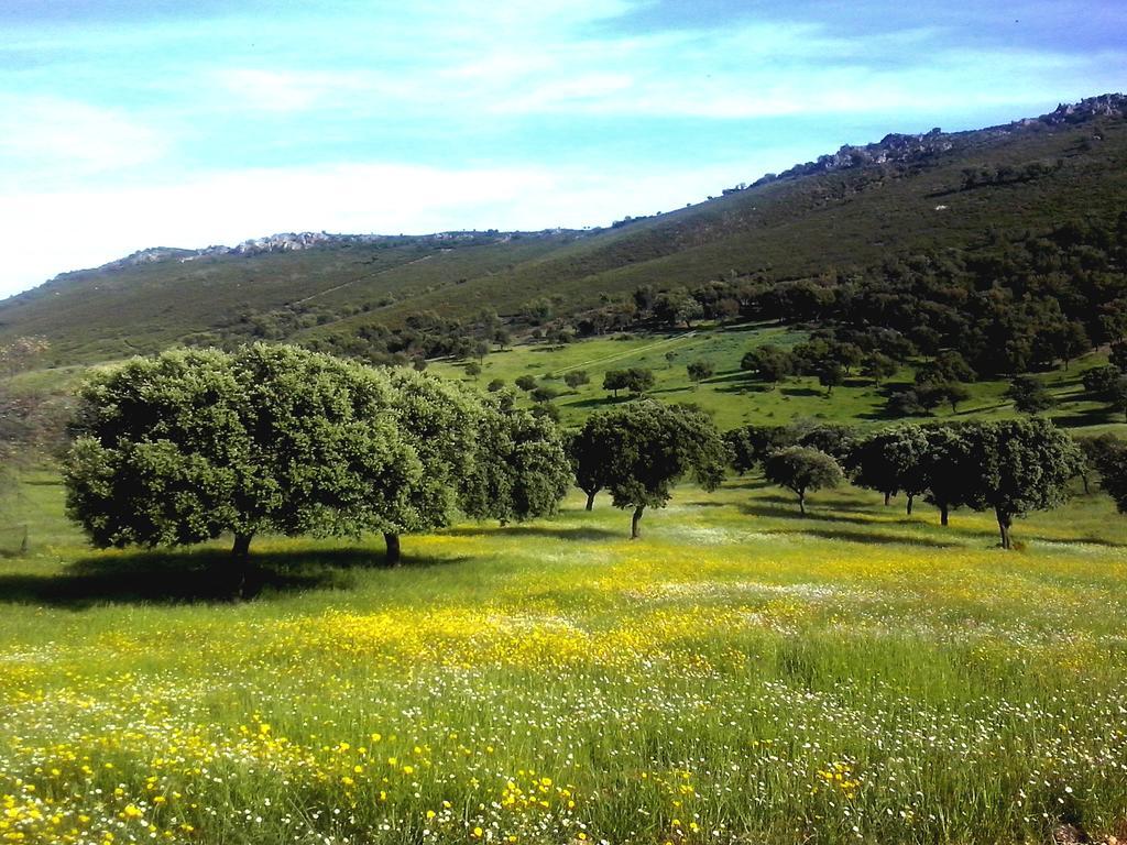 Casa Rural La Sierra De Monfraguee Malpartida De Plasencia Esterno foto